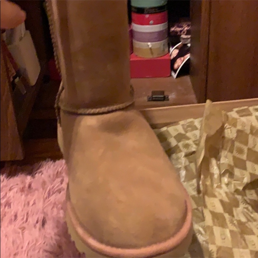 Ugg Chestnut